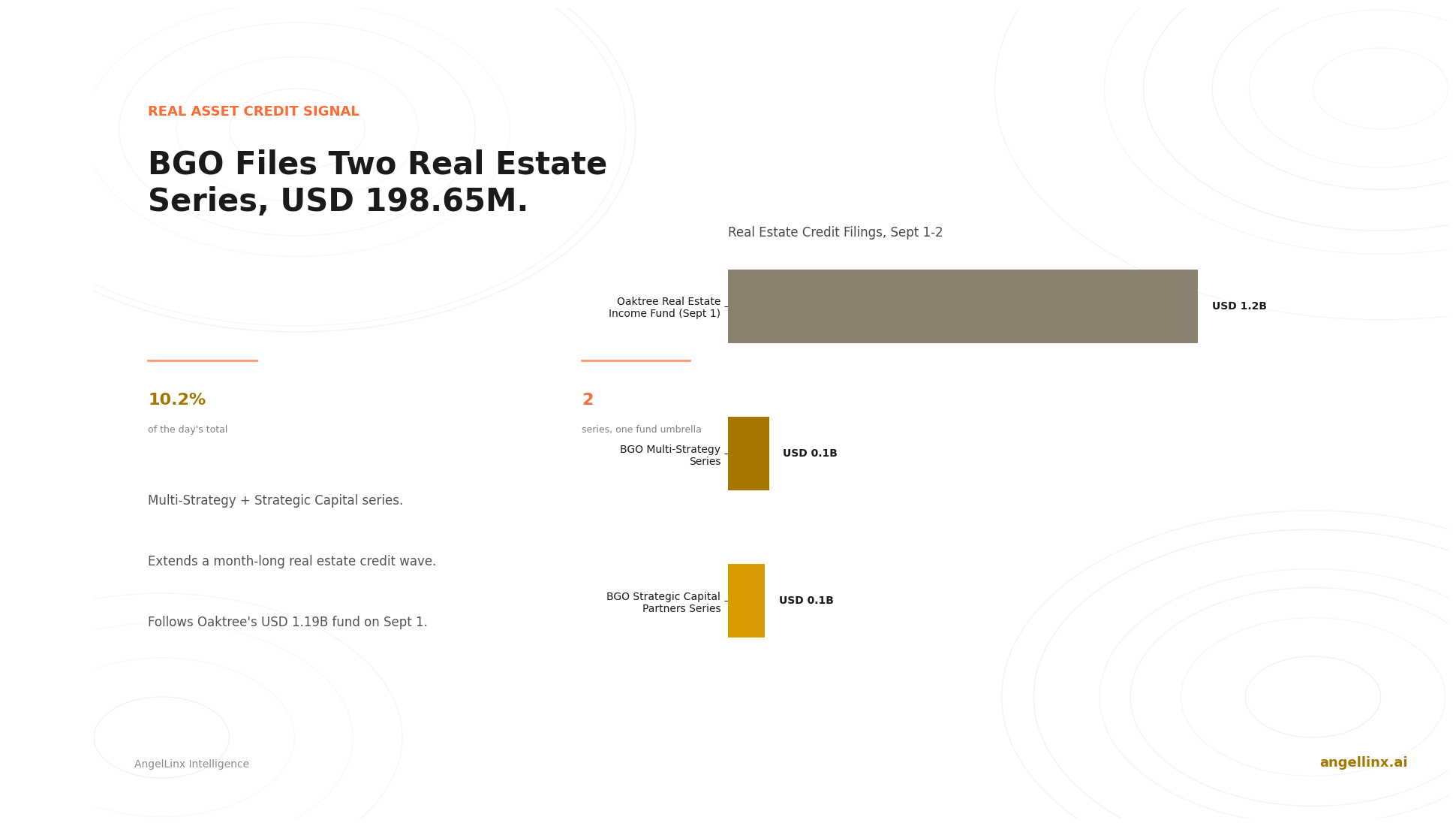 BGO Files Two Real Estate Series, USD 198.65M Combined, Extending a Month-Long Trend